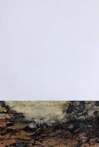 bruissement-19-29x21-papier-min