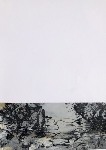 bruissement-24-42x29-papier-min